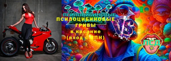 mdpv Елабуга
