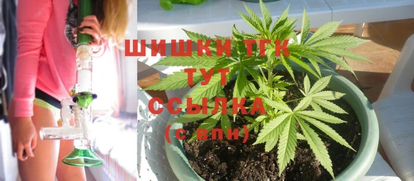 mdpv Елабуга