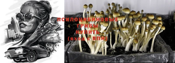 кокаин Ельня