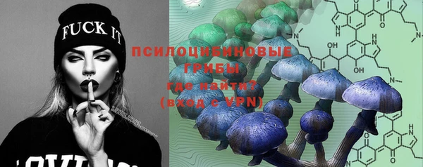 кокаин Ельня
