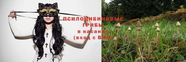 mdpv Елабуга